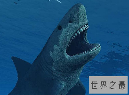 【图】巨齿鲨曾经陆地中的霸主终究为何会灭绝