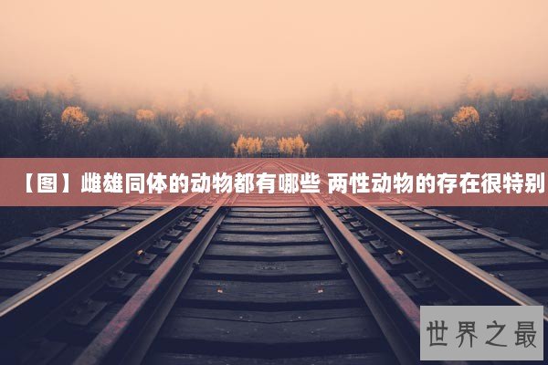 【图】雌雄同体的动物都有哪些 两性动物的存在很特别 【图】雌雄同体的动物都有哪些 两性动物的存在很特别