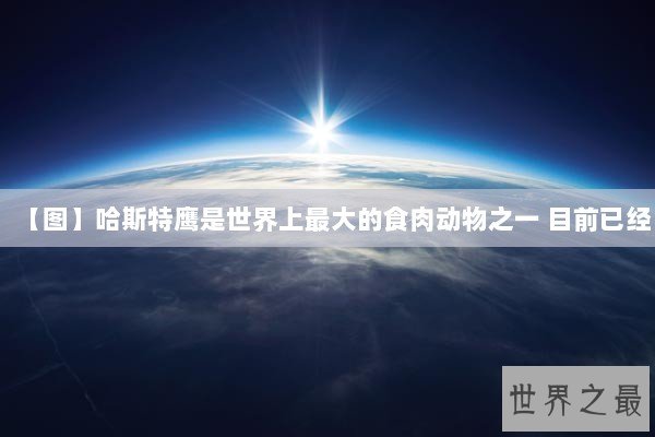 【图】哈斯特鹰是世界上最大的食肉动物之一 目前已经 【图】哈斯特鹰是世界上最大的食肉动物之一 目前已经