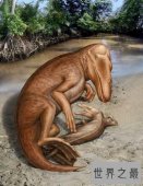 【图】鲸鱼的祖先，竟然是生活在陆地上的生物，形似