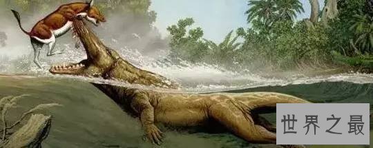 【图】鲸鱼的先人，竟然是生存在海洋上的生物，形似