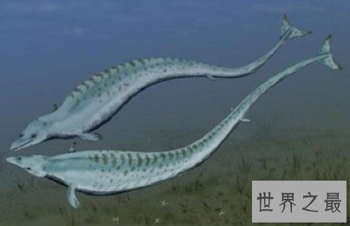 【图】鲸鱼的先人，竟然是生存在海洋上的生物，形似