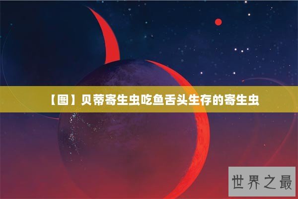 【图】贝蒂寄生虫吃鱼舌头生存的寄生虫