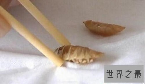 【图】贝蒂寄生虫吃鱼舌头生活的寄生虫