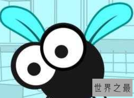 【图】苍蝇为什么总搓手原来不是动画里有的镜头