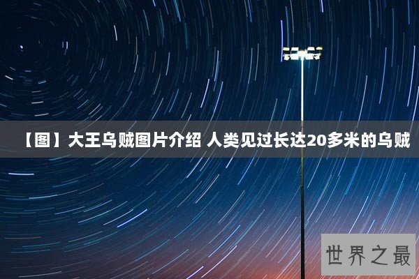 【图】大王乌贼图片介绍 人类见过长达20多米的乌贼 【图】大王乌贼图片介绍 人类见过长达20多米的乌贼