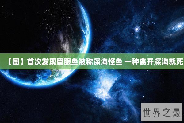 【图】首次发现管眼鱼被称深海怪鱼 一种离开深海就死 【图】首次发现管眼鱼被称深海怪鱼 一种离开深海就死