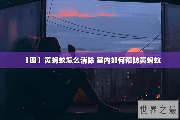 【图】黄蚂蚁怎么消除 室内如何预防黄蚂蚁 【图】黄蚂蚁怎么消除 室内如何预防黄蚂蚁