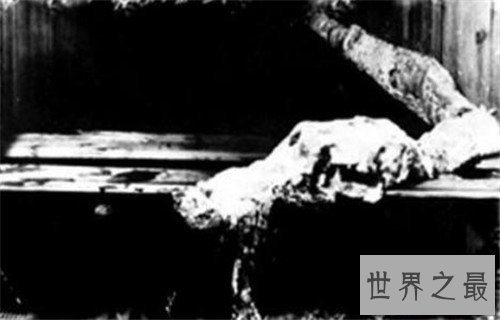 【图】卡布罗龙外形特色引见 曾有人目击它的出现