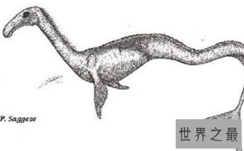 【图】卡布罗龙外形特色引见 曾有人目击它的出现