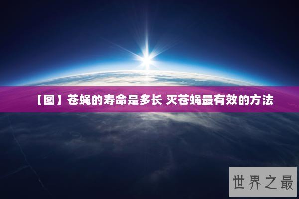 【图】苍蝇的寿命是多长 灭苍蝇最有效的方法