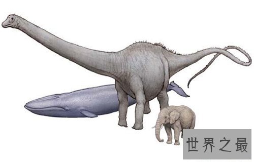 【图】易碎双腔龙是真的存在吗 为何它的化石会奥秘消