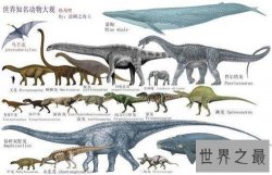 【图】易碎双腔龙是真的存在吗 为何它的化石会神秘消