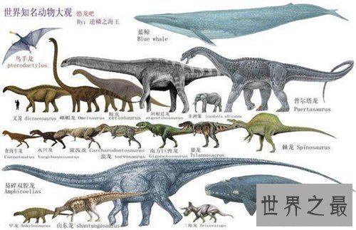【图】易碎双腔龙是真的存在吗 为何它的化石会奥秘消
