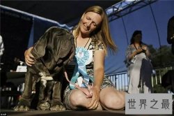 【图】最丑的狗长什么样 曾获得世界最丑的狗大赛冠军