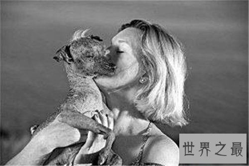 【图】最丑的狗长什么样 曾获得世界最丑的狗大赛冠军