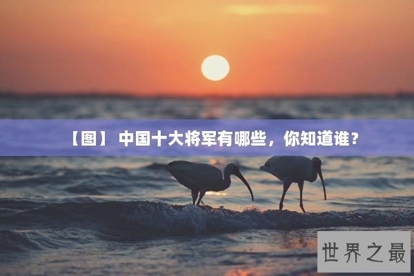 【图】 中国十大将军有哪些，你知道谁？