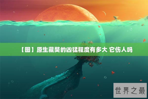 【图】原生藏獒的凶猛程度有多大 它伤人吗