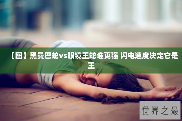 【图】黑曼巴蛇vs眼镜王蛇谁更强 闪电速度决定它是王