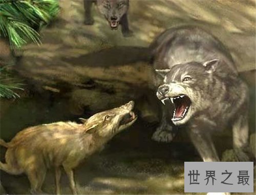 【图】灭绝的动物都有哪些 数百年前隐没的动物又再现