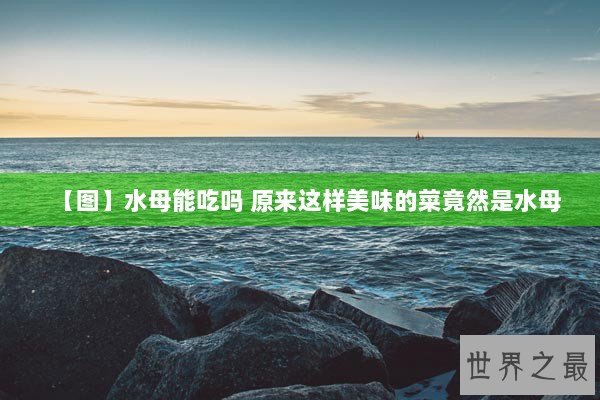 【图】水母能吃吗 原来这样美味的菜竟然是水母