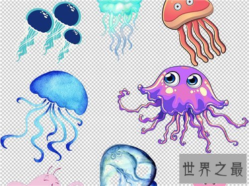 【图】水母能吃吗 原来这样美味的菜竟然是水母