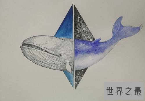 【图】蓝鲸图片，世界上最大的鲸，听说他的舌头上可
