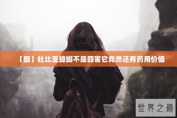 【图】杜比亚蟑螂不是四害它竟然还有药用价值