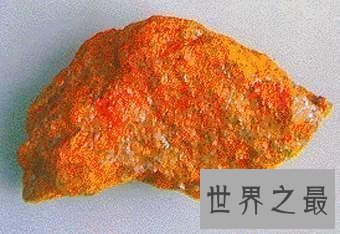 【图】世界上最大的巨型蜈蚣，看着让人头皮发麻！