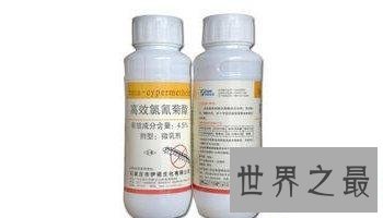 【图】世界上最大的巨型蜈蚣，看着让人头皮发麻！