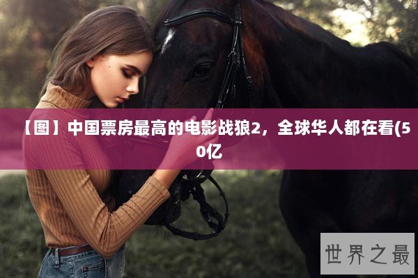 【图】中国票房最高的电影战狼2，全球华人都在看(50亿