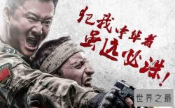 【图】中国票房最高的电影战狼2，全球华人都在看(50亿