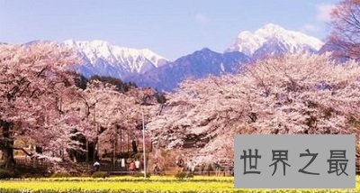 【图】依据世界工夫，推算日本工夫怎样算？