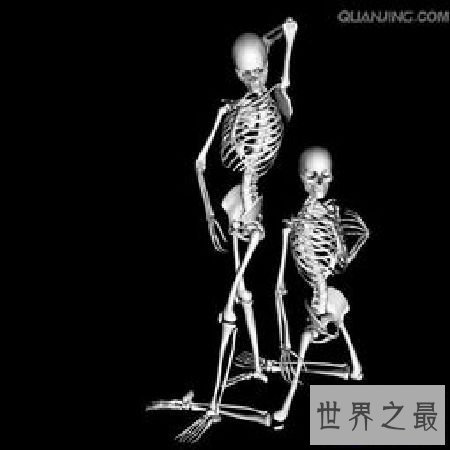 【图】 人体骨骼和埃菲尔铁塔有何共同之处
