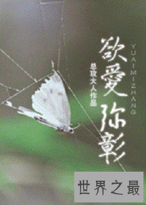 【图】弃医从文大作家-总攻小孩儿