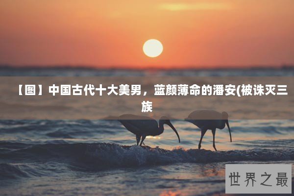 【图】中国古代十大美男,蓝颜薄命的潘安(被诛灭三族 【图】中国古代十大美男,蓝颜薄命的潘安(被诛灭三族