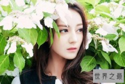 【图】2017亚洲十大女神排行榜，迪丽热巴第一当之无愧