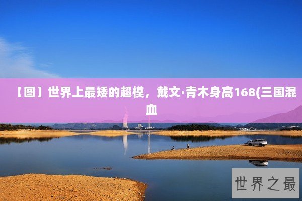 【图】世界上最矮的超模，戴文·青木身高168(三国混血