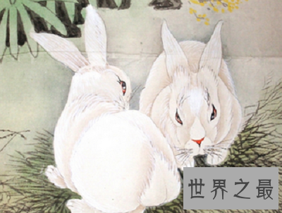 【图】88年的你，你了解88年属什么？