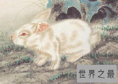 【图】88年的你，你了解88年属什么？