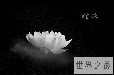 【图】佛家所说的一尘是什么？