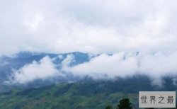 【图】云南六大茶山 均来自西双版纳