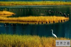 【图】全球三大生态系统 排在第一的是海洋