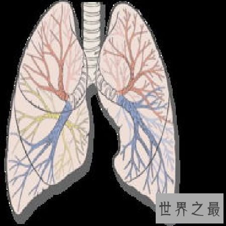 【图】 支气管扩张的那些事，你知道多少
