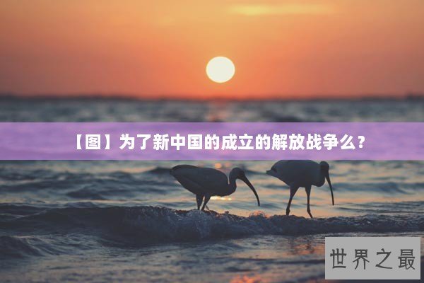 【图】为了新中国的成立的解放战争么？