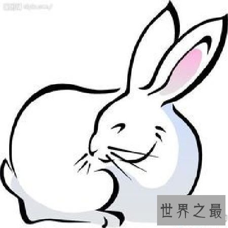 【图】 85年属什么，和什么属相最配？