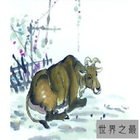 【图】 85年属什么，和什么属相最配？