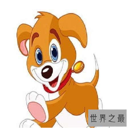 【图】 属龙的和什么属相最配,什么属相最不配