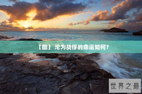 【图】 沦为战俘的命运如何？