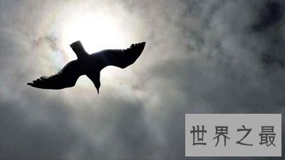 【图】高尔基：俄国文学最不可漠视的一个！